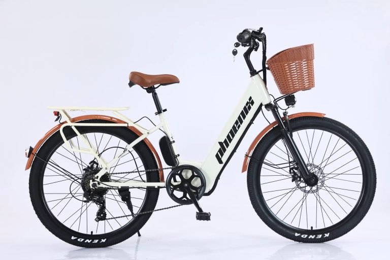 Xe Đạp Trợ Lực Điện Phoenix C1