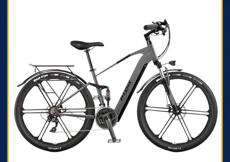 Xe đạp trợ lực điện Phoenix M19 | Vành đúc, 12 thanh 29 inch
