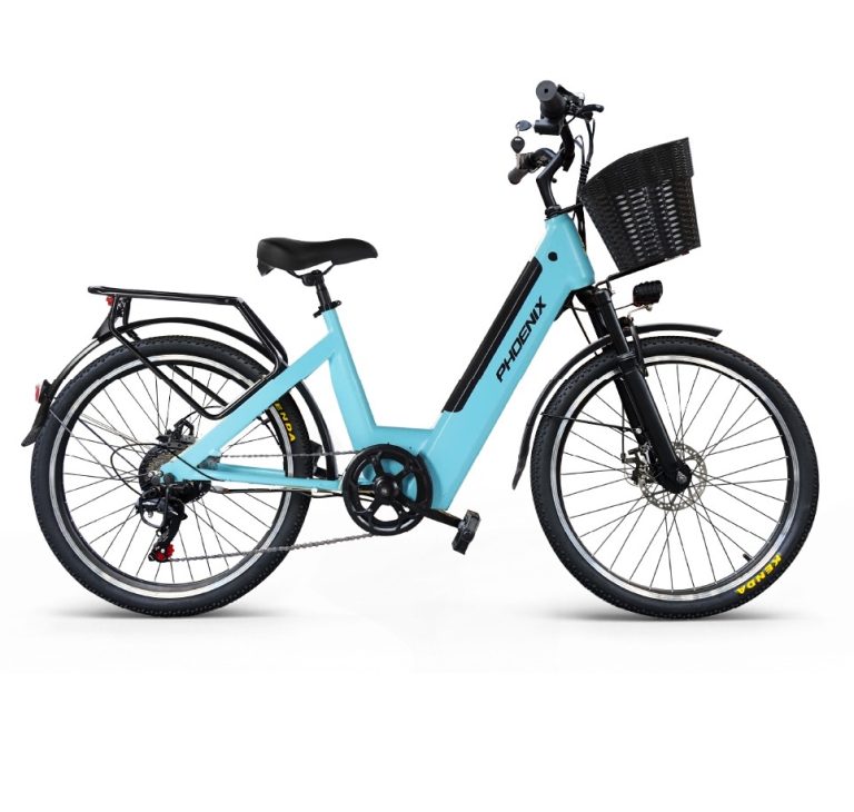Xe Đạp Trợ Lực Điện Phoenix D2