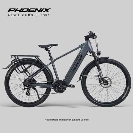 Xe Đạp Trợ Lực Điện Phoenix LM