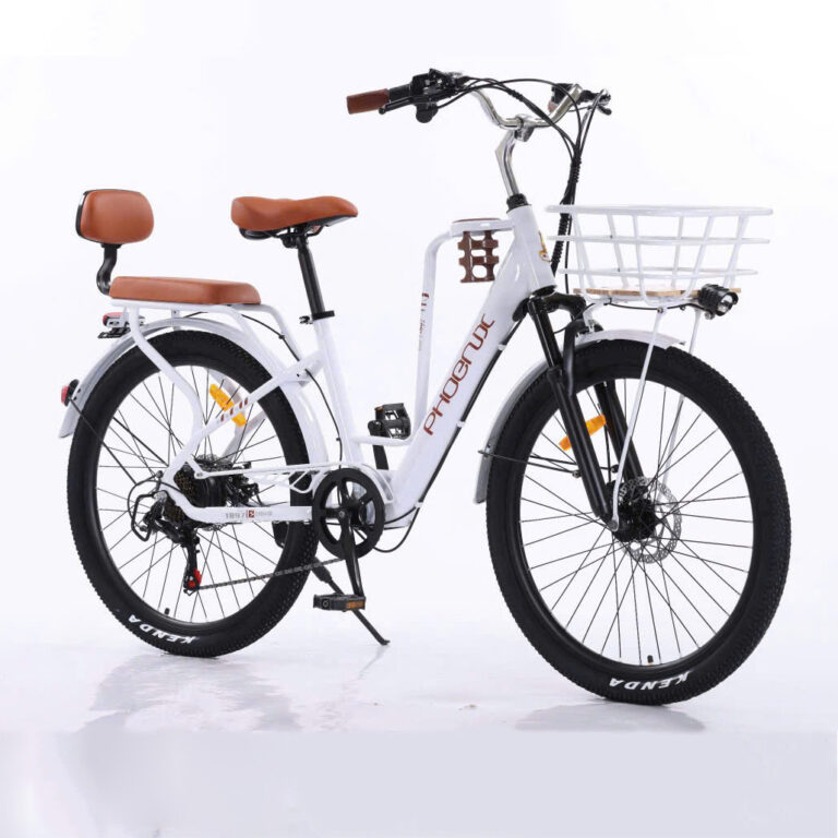 Xe Đạp Trợ Lực Điện Phoenix CF12