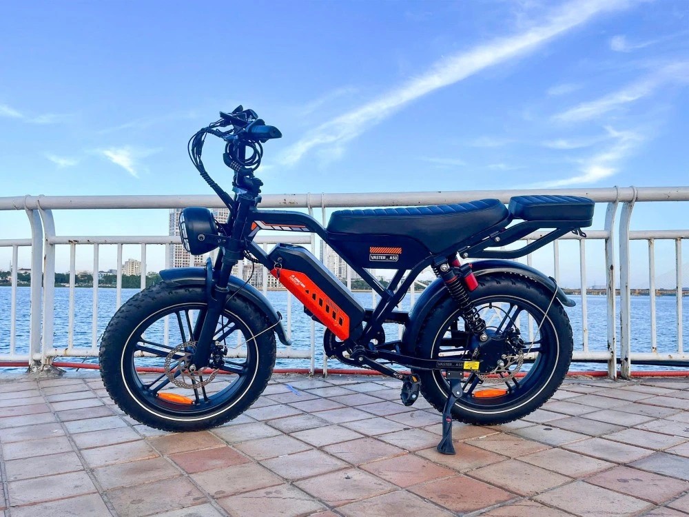 Xe đạp trợ lực điện AVDL A50