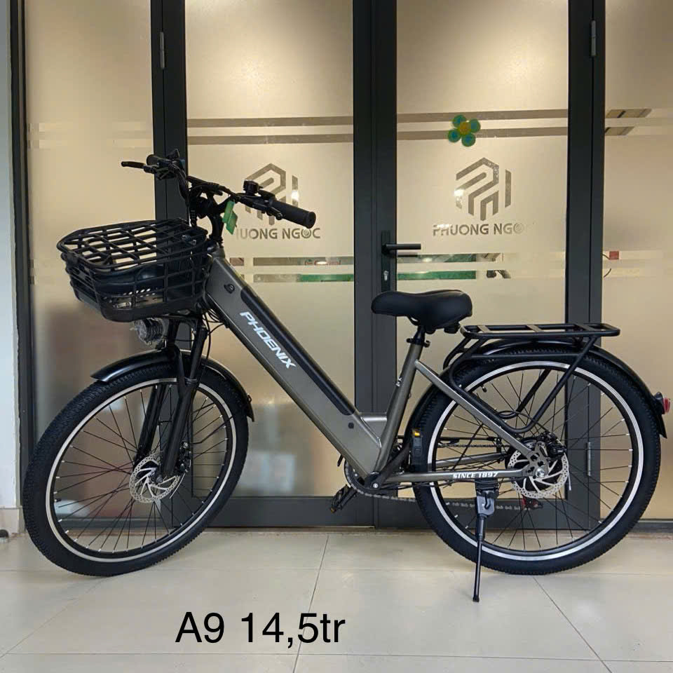 Xe Đạp Trợ Lực Điện Phoenix A9