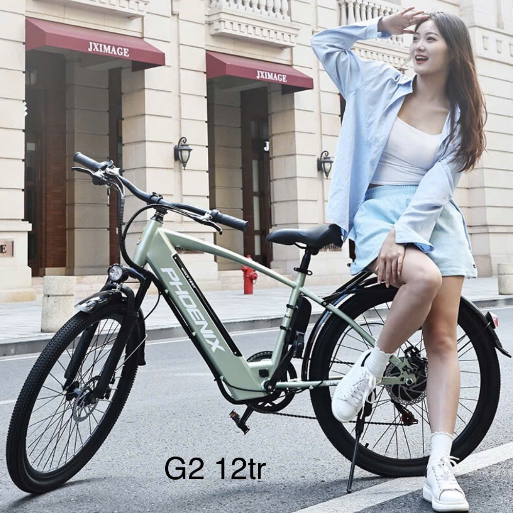 Xe Đạp Trợ Lực Điện Phoenix G2