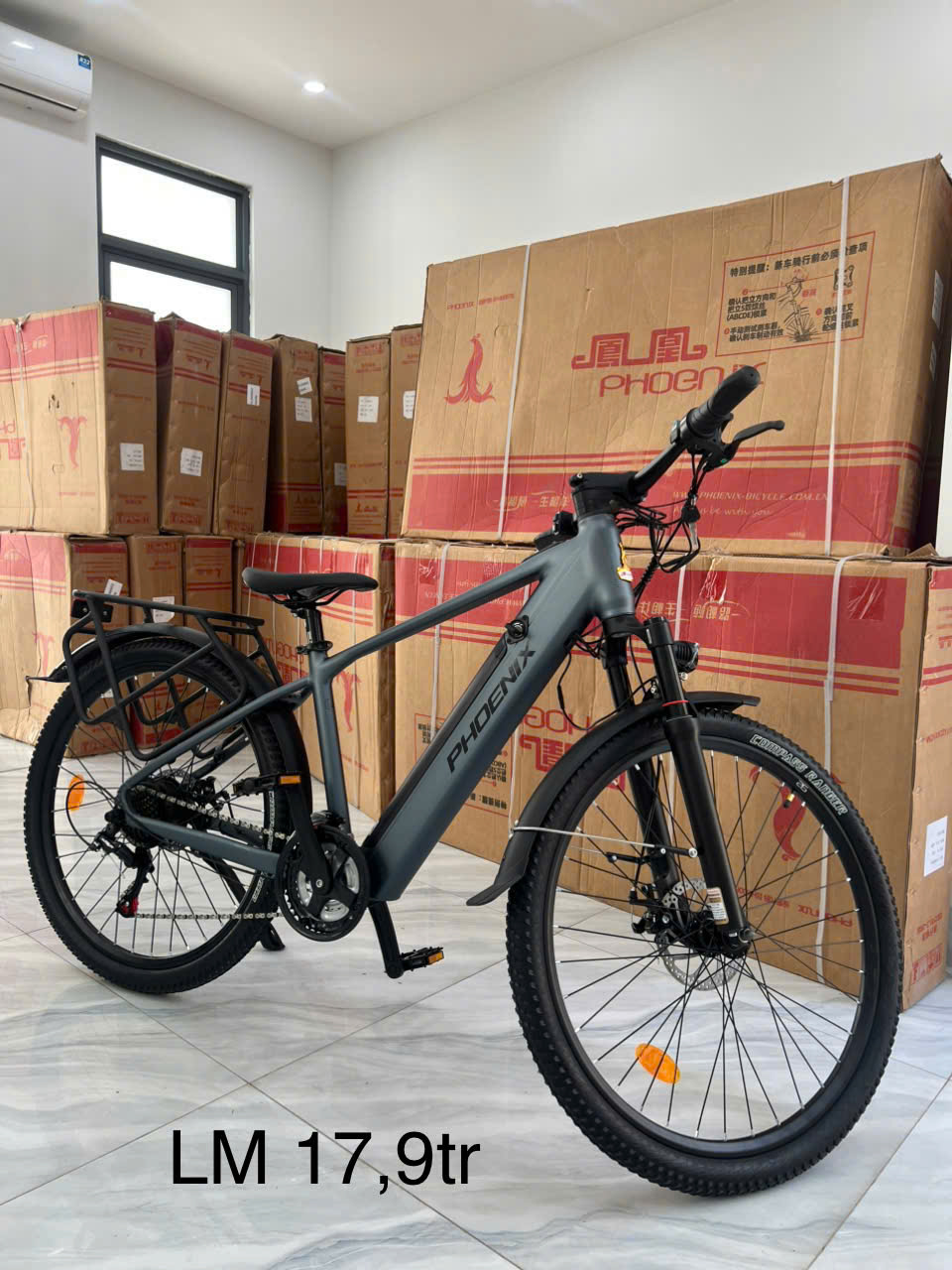 Xe Đạp Trợ Lực Điện Phoenix LM